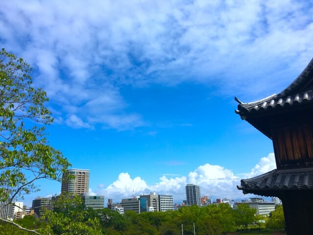 歴史はあるけど案外ポップな焼き物 福岡上野焼