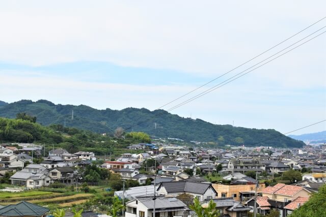 愛媛の温かい焼き物 砥部焼の歴史と特徴