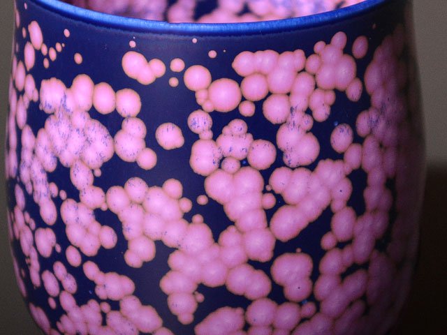 【有田焼】湯呑み 桜花紋