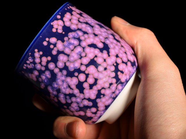 【有田焼】湯呑み 桜花紋