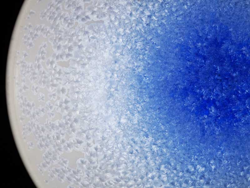 【有田焼】煎茶湯呑揃 藍染水滴