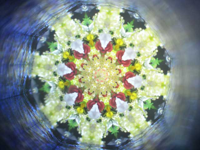 【有田焼万華鏡】雛人形