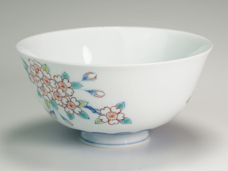 【有田焼】茶碗 染錦吉祥桜図