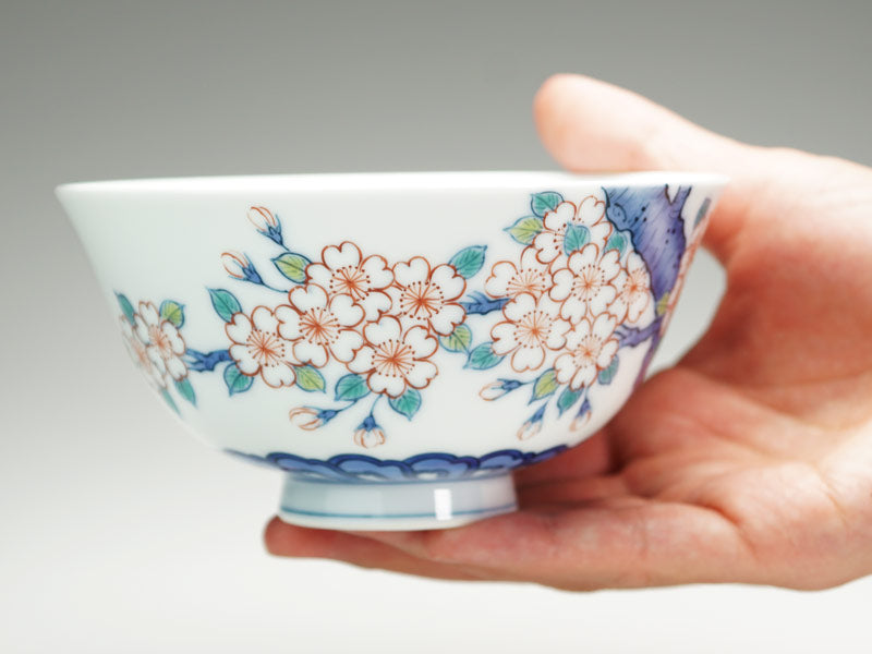 【有田焼】茶碗 染錦吉祥桜図