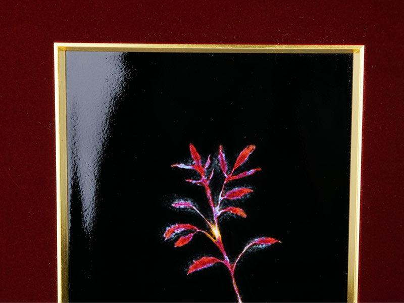 【有田焼】陶額 夢幻想花